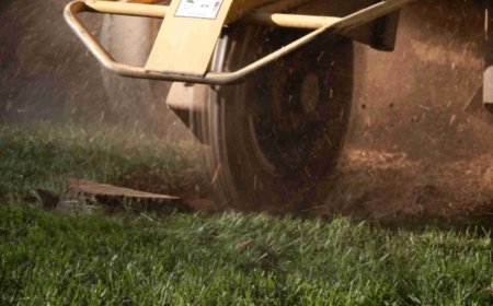 Stump Grinding: The Smartest Way to Clear Your Yard Safely and Effectively
