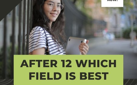 Best Courses After 12th Commerce & Top Diplomas 2025