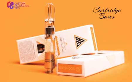 The Essential Guide to Cartridge Boxes: Packaging for Precision and Protection