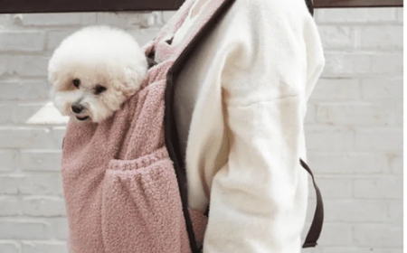 Choosing the Right Dog Carrier for Safe and Stylish Travel
