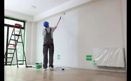 Expert Painters San Jose: Top Services & What to Expect