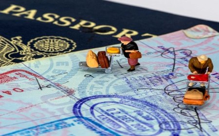 Treadmill for Dogs | Dog Treadmill for sale at Treadmillfordogs.com