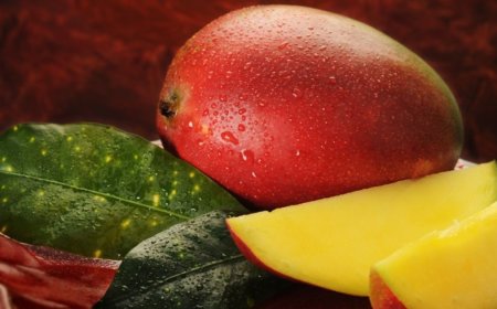 Mango Price in Pakistan 2025: A Guide for Farmers and Traders