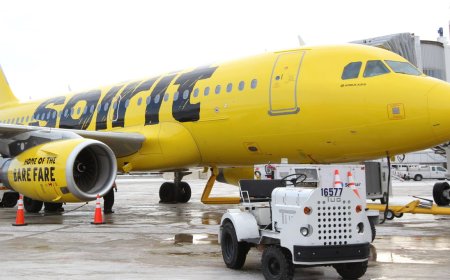 Explore Seamless Travel Solutions at the Spirit Airlines New York Office