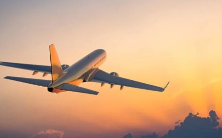 Discover the Hub of Excellence: Turkish Airlines Houston Office