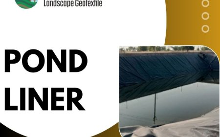 The Unseen Foundation: Pond Liners 101 – The Key to a Leak-Free Water Feature