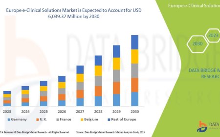 Europe e-Clinical Solutions Market Size, Share, Trends, Demand, Growth and Competitive Analysis