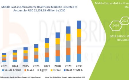 Middle East and Africa Home Healthcare Market Size, Share, Trends, Key Drivers, Growth and Opportunity Analysis