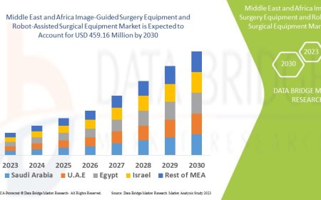 Middle East and Africa Image-Guided Surgery Equipment and Robot-Assisted Surgical Equipment Market Size, Share, Trends, Key Drivers, Growth Opportunities and Competitive Outlook