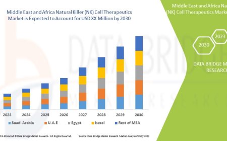Middle East and Africa Natural Killer (NK) Cell Therapeutics Market Size, Share, Trends, Demand, Growth, Challenges and Competitive Outlook