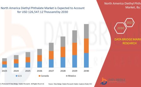 North America Diethyl Phthalate Market Size, Share, Trends, Demand, Growth, Challenges and Competitive Outlook