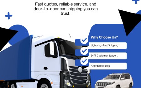 Top 7 Reasons to Hire an Affordable Auto Transport Company in the USA