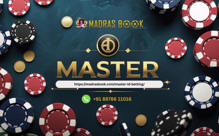 Where to Find Your Master Panel ID Number? Full Details Here