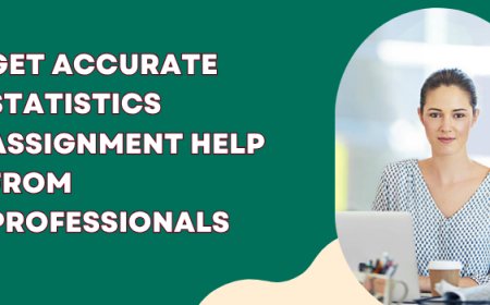 Get Accurate Statistics Assignment Help from Professionals