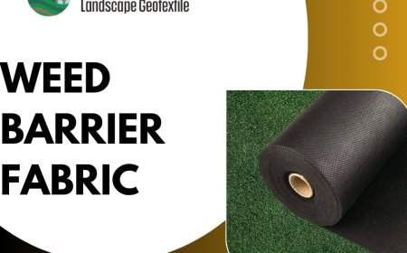 How Weed Barrier Fabric Saves Time and Boosts Plant Health