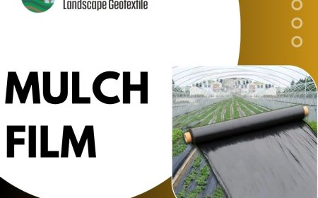 Everything You Need to Know About Mulch Film in Modern Farming