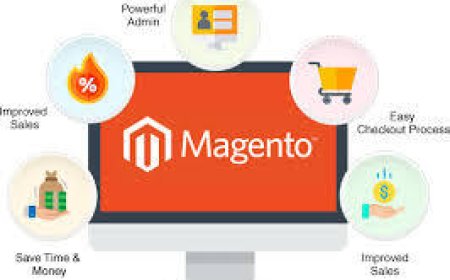 Why Choose a Magento Services Provider Company for Your eCommerce Growth?