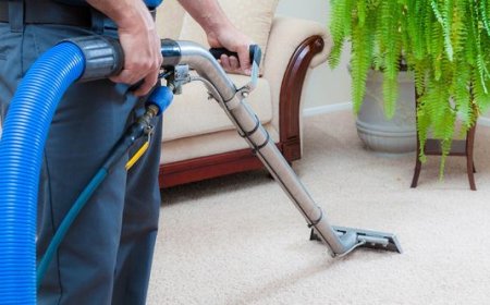Why Should I Only Hire Carpet Cleaning Near Me Services?