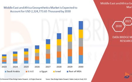 Middle East and Africa Geosynthetics Market Value: Growth, Share, Size, Analysis, and Insights