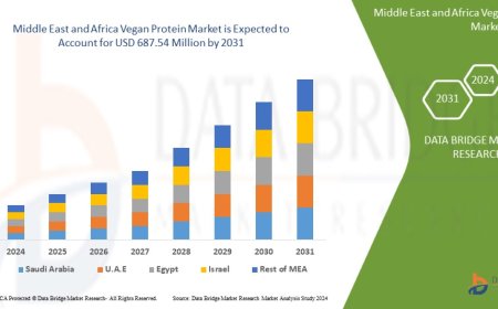 Middle East and Africa Vegan Protein Market Size: Growth, Share, Value, Trends, and Analysis