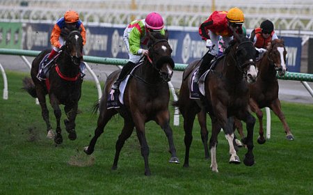 Discover the Best PalmerBet Experience: A Trusted Name in Australian Betting