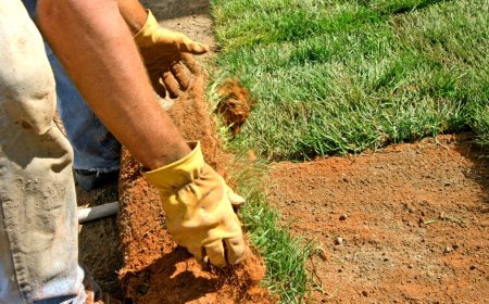 A Greener Future: Smart Landscaping for South Auckland