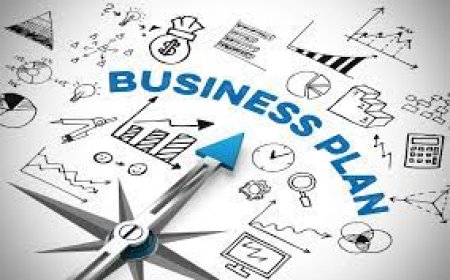 Professional Business Plan Writers for Nonprofits and NGOs