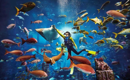 Is the Dubai Aquarium Explorer Experience Worth It? Full Review