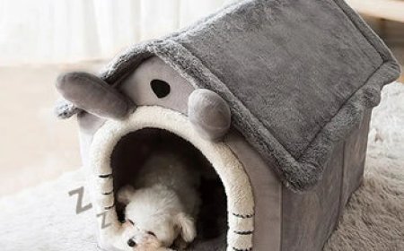 Discover the Secret to Indestructible Furniture for Pets