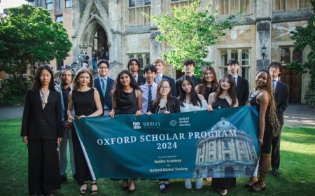 Law Courses in the UK: A Quick Guide for New Students