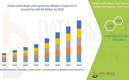 Zadik Barak Levin Syndrome Market Opportunities, Industry Statistics, Trends, Revenue Analysis