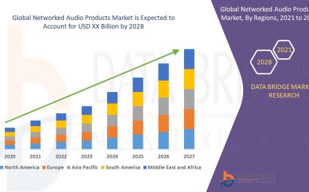 Networked Audio Products Market Research Report: Growth, Share, Value, Trends, and Insights