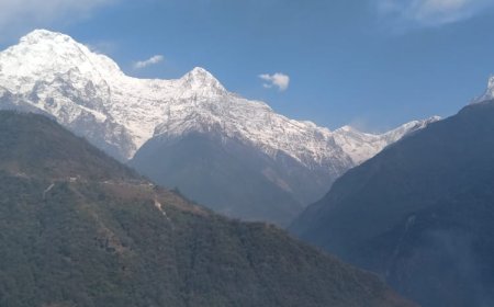 How This Stunning Ghorepani Trek Will Make You Feel Alive Instantly