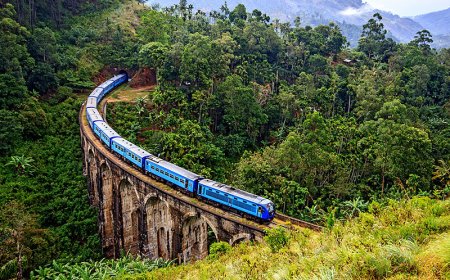 The Ultimate Honeymoon Calendar: Best Time to Travel to Sri Lanka