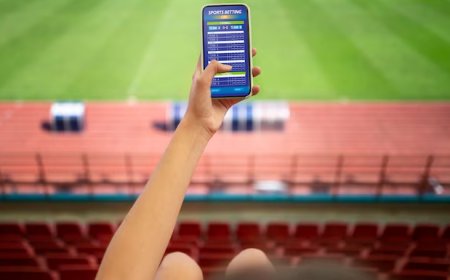 White Label Sportsbook Solution to Simplify Your Betting Business