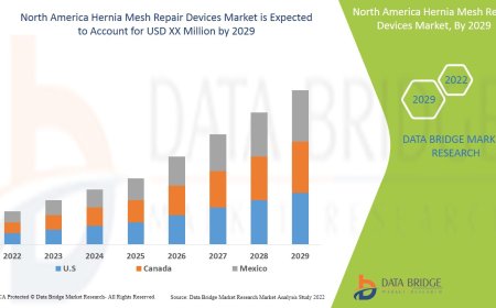 America Hernia Mesh Repair Devices Market Research Report: Growth, Share, Value, Trends, and Insights