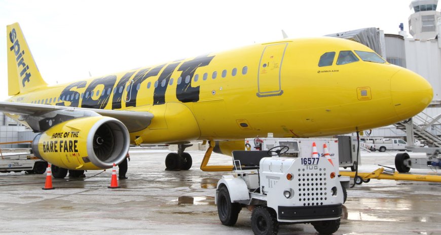 Explore Seamless Travel Solutions at the Spirit Airlines New York Office