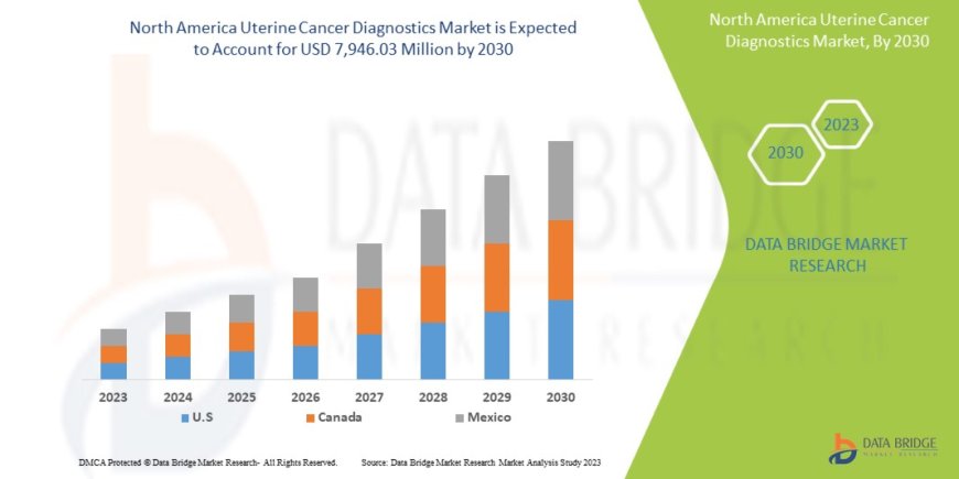 North America Uterine Cancer Diagnostics Market Size, Share, Trends, Demand, Growth and Competitive Outlook