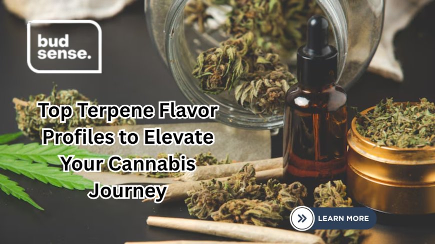 Top Terpene Flavor Profiles to Elevate Your Cannabis Journey