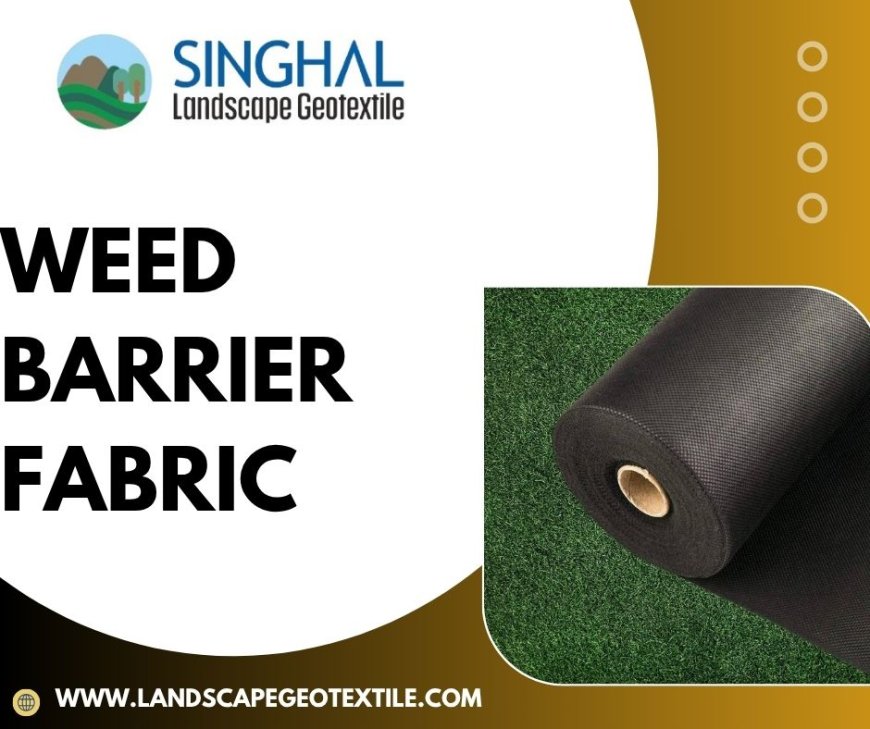 How Weed Barrier Fabric Saves Time and Boosts Plant Health