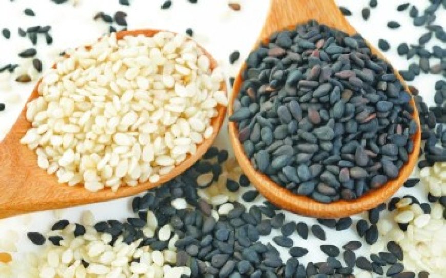 Find the Best Sesame Seeds Manufacturers – Click Here!