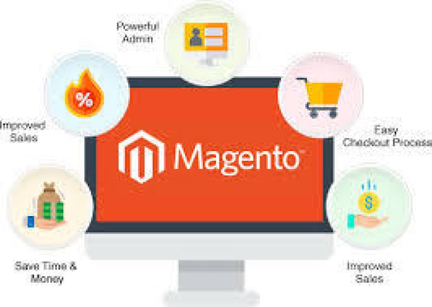 Why Choose a Magento Services Provider Company for Your eCommerce Growth?