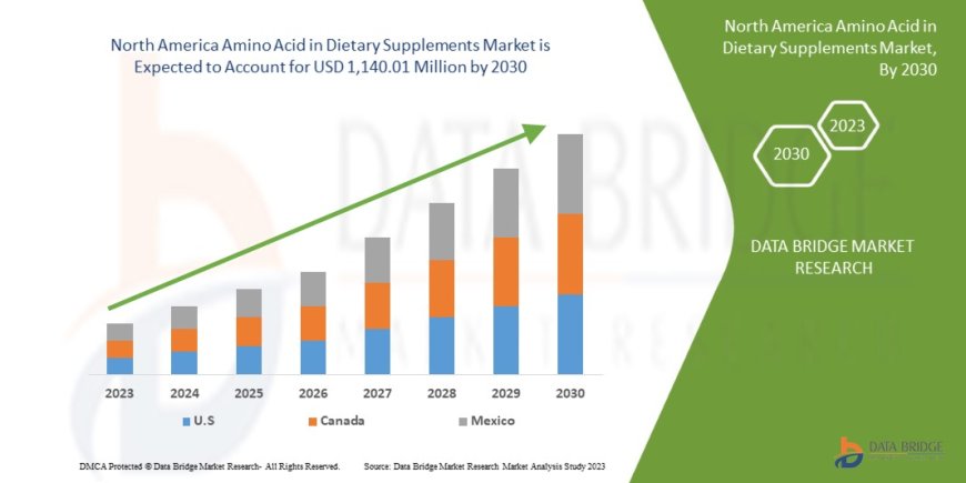 North America Amino Acid in Dietary Supplements Market Value: Growth, Share, Size, Analysis, and Insights