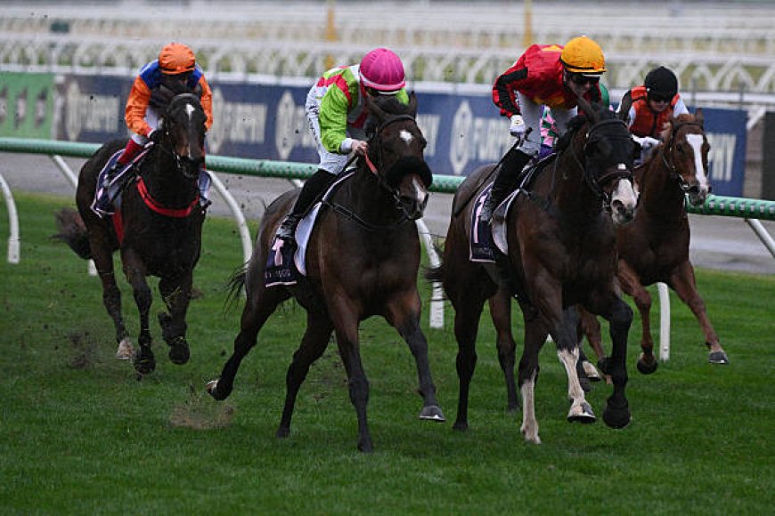 Discover the Best PalmerBet Experience: A Trusted Name in Australian Betting