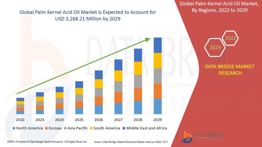 Palm Kernel Acid Oil Market Advances with Growth in Soap and Oleochemical Sectors
