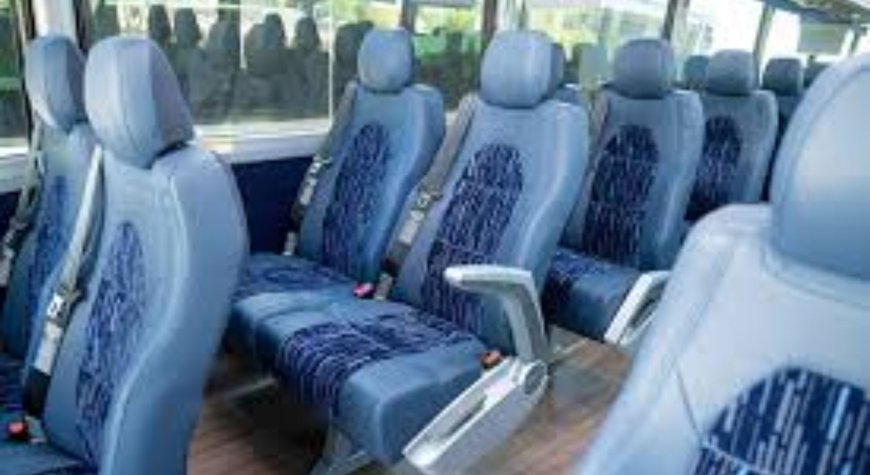 Your Complete Guide to School Bus Rental Services: Costs, Options, and Tips