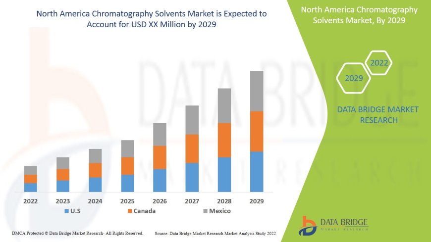 North America Chromatography Solvents Market Revenue Forecast, Future Scope, Challenges, Growth Drivers