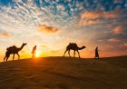 Top 10 Activities You Can Enjoy During a Desert Safari