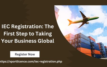 IEC Registration: The First Step to Taking Your Business Global