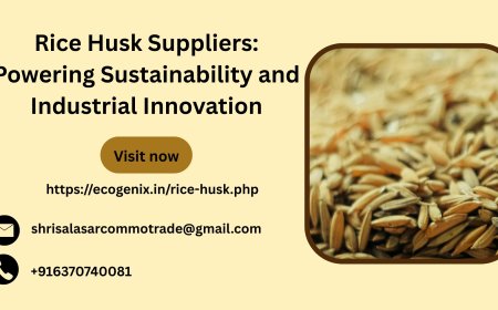Rice Husk Suppliers: Powering Sustainability and Industrial Innovation